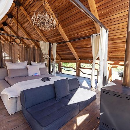 Inspiring Farm Sanctuary And Famous Painting Pig Hotell Franschhoek Eksteriør bilde
