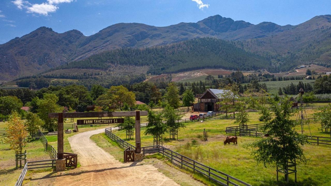 Inspiring Farm Sanctuary And Famous Painting Pig Hotell Franschhoek Eksteriør bilde