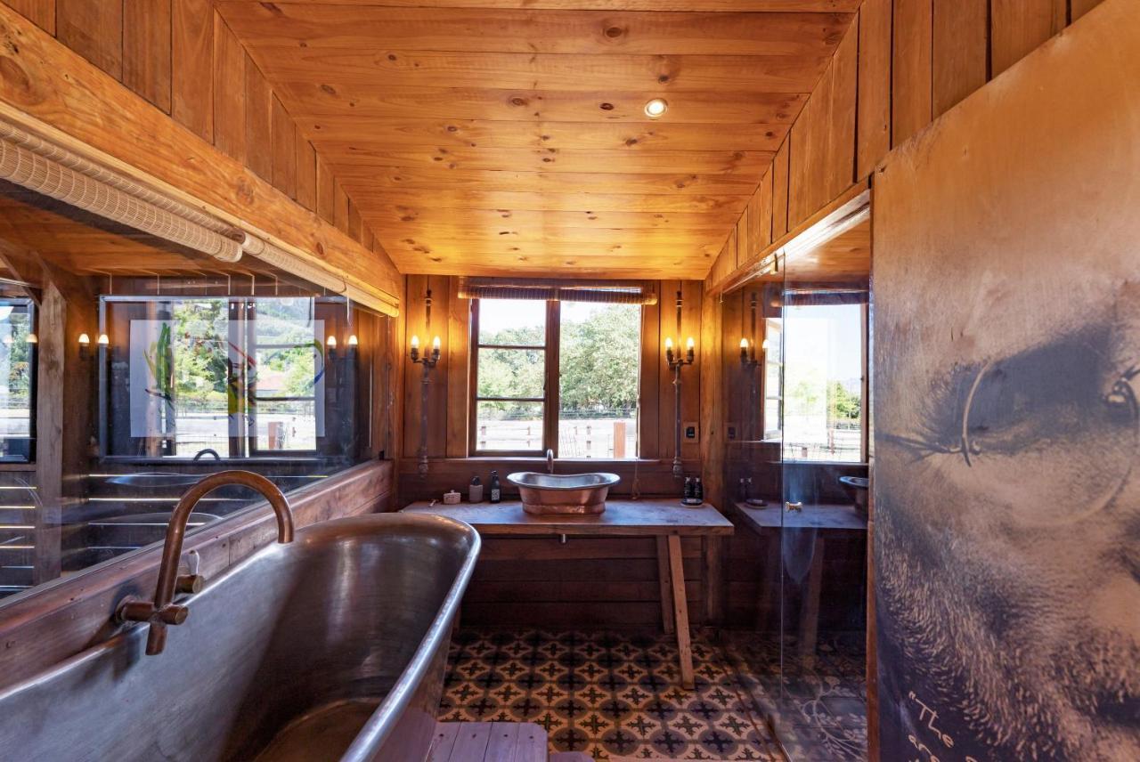 Inspiring Farm Sanctuary And Famous Painting Pig Hotell Franschhoek Eksteriør bilde