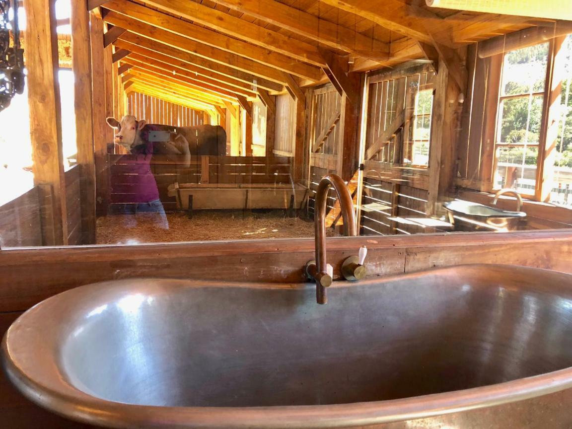 Inspiring Farm Sanctuary And Famous Painting Pig Hotell Franschhoek Eksteriør bilde